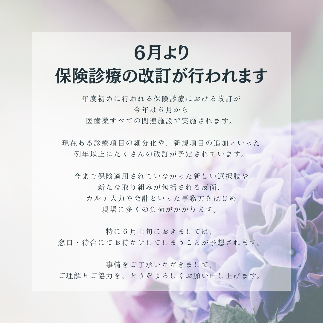 歯の構造とむし歯の基礎知識について