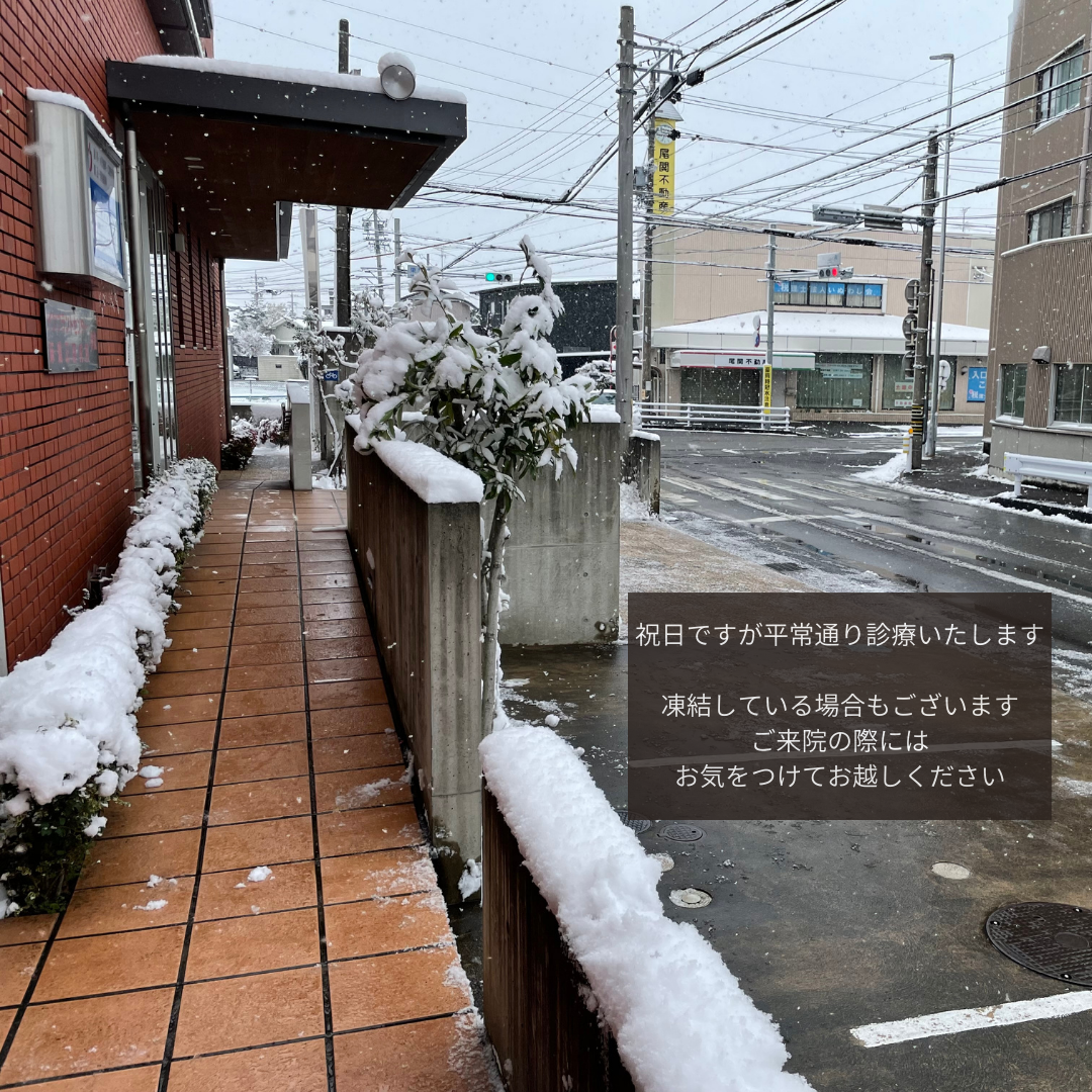 歯の構造とむし歯の基礎知識について