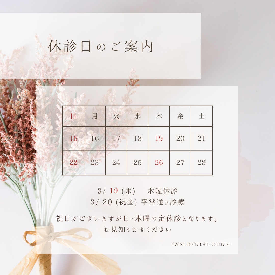 歯の構造とむし歯の基礎知識について